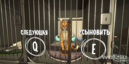 Обзор Copycat: кот-подражатель©